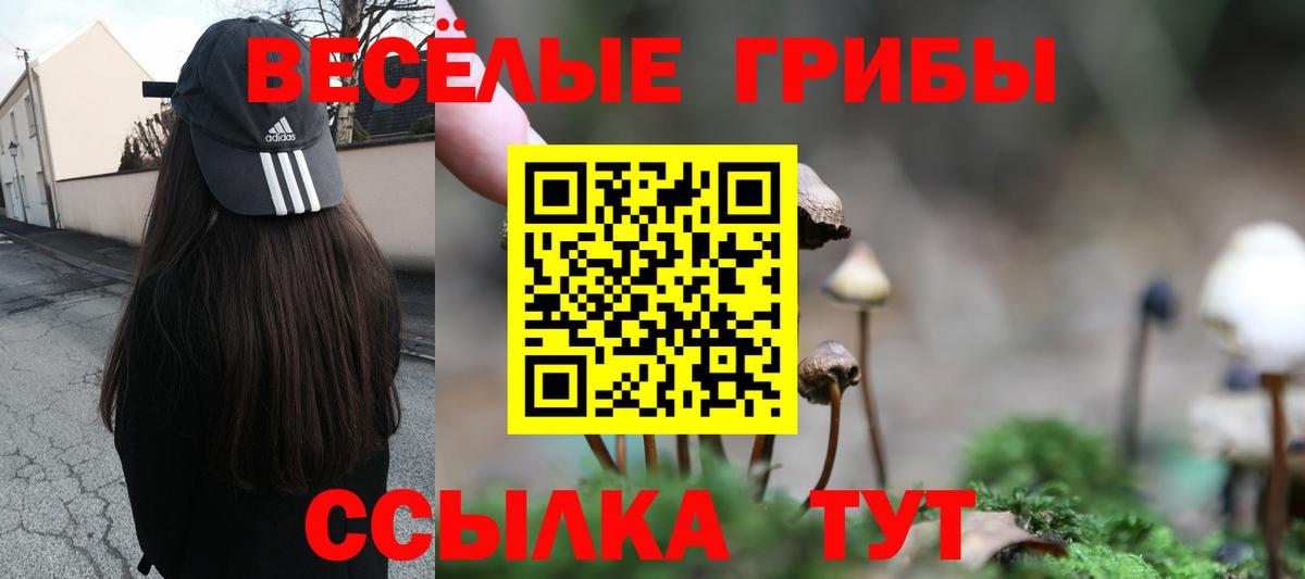 даркнет сайт  Вход с VPN  Галлюциногенные грибы ЛСД  Элиста  Псилоцибиновые грибы Magic Shrooms 